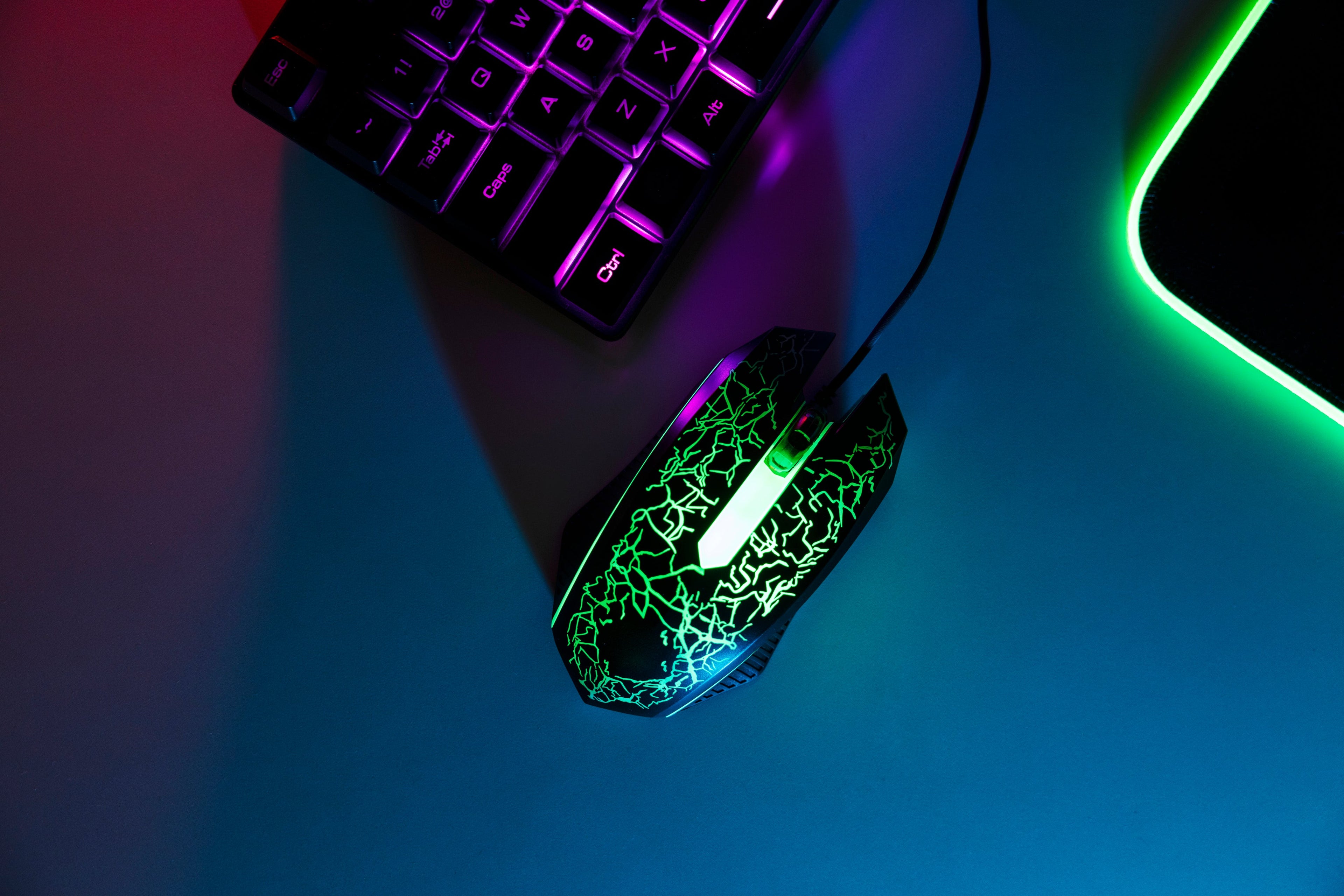 Mouses
